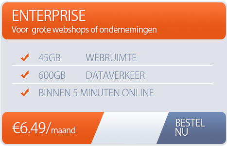 Grote webhosting pakketten in Nederland
